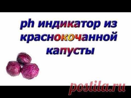 Зеленая яичница или индикаторы на кухне | Веселая наука