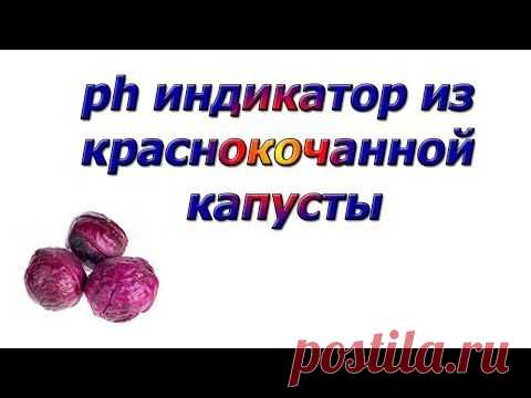Зеленая яичница или индикаторы на кухне | Веселая наука