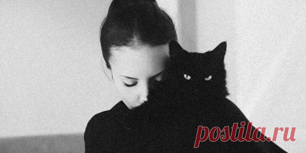 НЕ ВЫХОДЯТ ВЕДЬМЫ ЗАМУЖ — ОНИ КОТОВ ЗАВОДЯТ. ЧЁРНЫХ.
Стихотворение четко отображающее женскую сущность. Не без иронии 😉 Это стихотворение, полное иронии и юмора, не оставит никого равнодушным: Я ненавижу мелодрамы, Не признаю советов вздорных. Ну, не выходят ведьмы замуж, Они котов заводят. Чёрных. И где вы видели, чтоб ведьмы Готовили котлеты мужу?, Да что мне делать с ним, ответьте? И для чего он […]
Читай пост далее на сайте. Жми ⏫ссылку выше