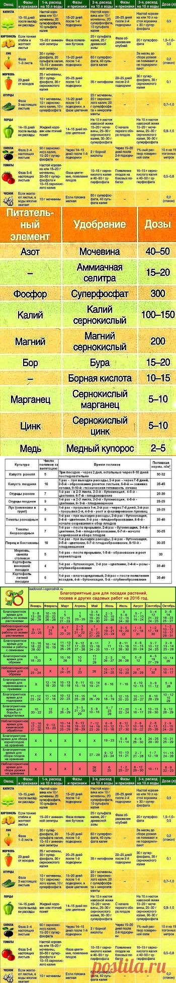 (60) Одноклассники