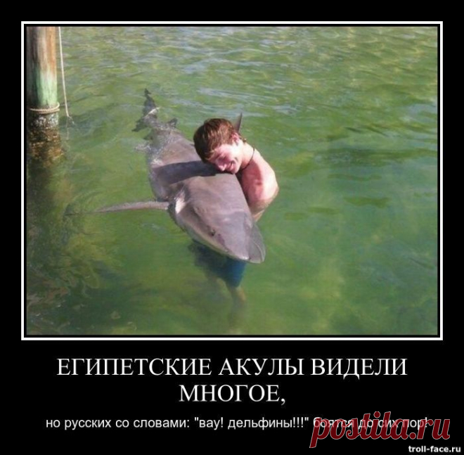Демотиваторы. Отлично! / Писец - приколы интернета