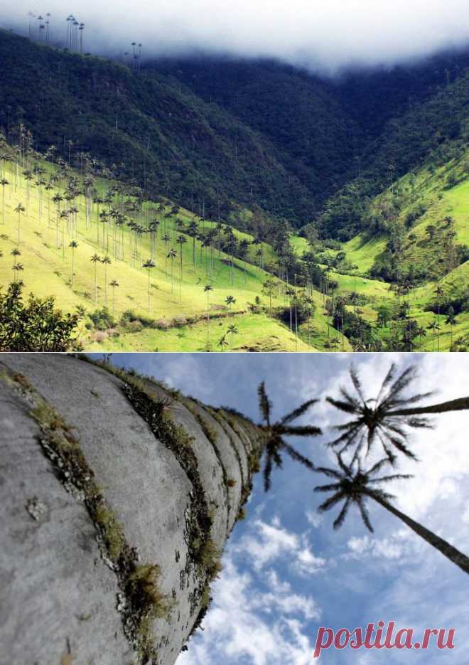 Долина Кокора | НАУКА И ЖИЗНЬ