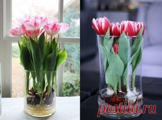 (1) Одноклассники