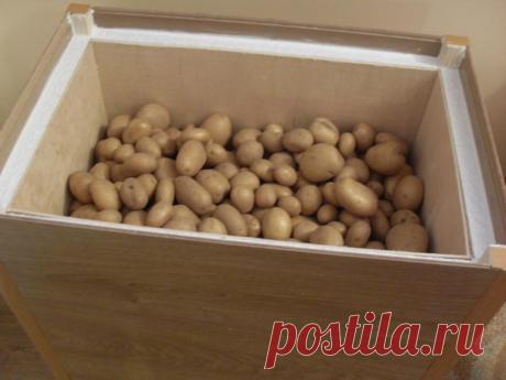 Как хранить картошку на балконе - рациональные способы &amp;raquo; Женский Мир