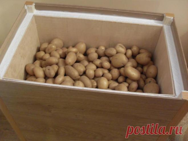 Как хранить картошку на балконе - рациональные способы &raquo; Женский Мир