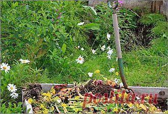 Как надо готовить компост и где его хранить? | Блог «Хочу на дачу»