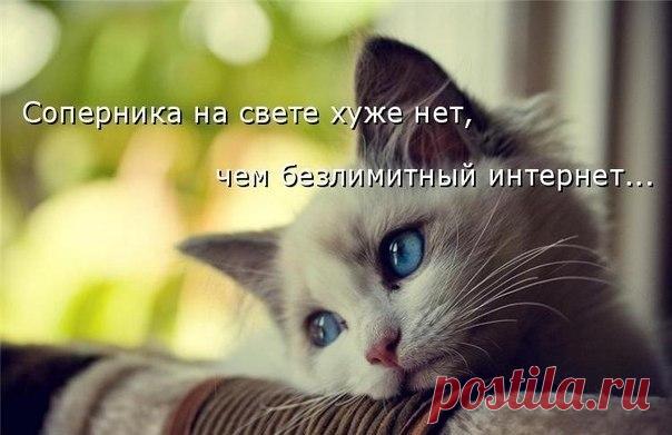 Лилия Советкина | ВКонтакте