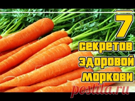 Расскажу о правилах, которые нужно соблюдать что бы получить богатый урожай здоровой, вкусной моркови. Так как эта культура склонна к заражению грибками ее в...