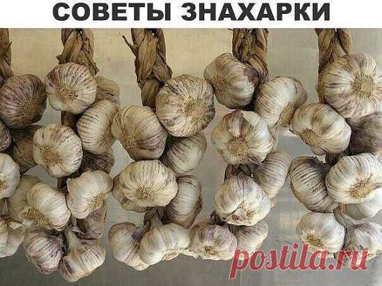 Старинные знахарские советы