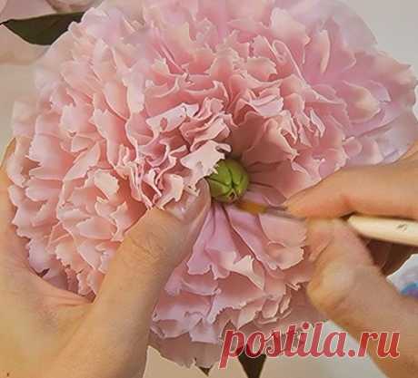Шикарный мастер класс: Пион из полимерной глины