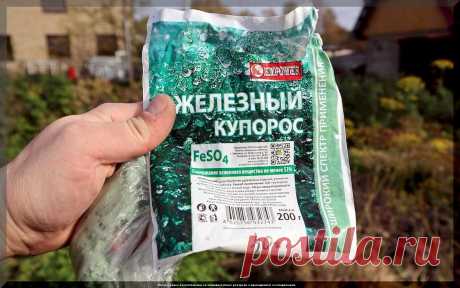 Защита сада с ранней весны до поздней осени: когда и чем обработать плодовые деревья и кустарники от болезней и вредителей | Дачные истории | Дзен