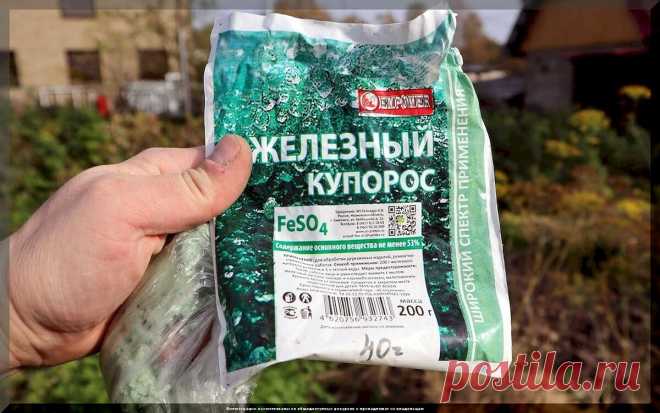 Защита сада с ранней весны до поздней осени: когда и чем обработать плодовые деревья и кустарники от болезней и вредителей | Дачные истории | Дзен