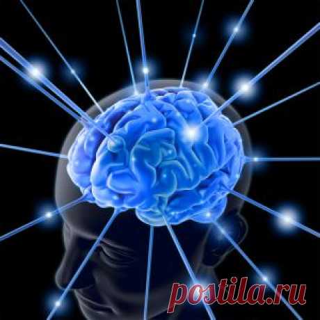 Как тренировать память? | Успех значит успеть!