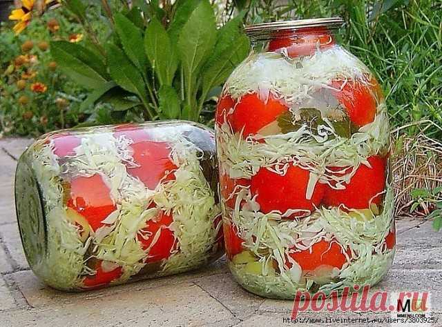 НЕВЕРОЯТНО ВКУСНЫЕ ПОМИДОРЫ В КАПУСТЕ, НА ВКУС КАК МАЛОСОЛЬНЫЕ
В результате получаем невероятно вкусные помидоры, на вкус напоминающие малосольные. А капуста не уступает вкусовым качествам помидоров! Попробуйте, и этот рецепт станет вашим фаворитом!