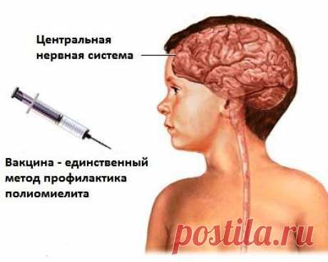 Часто задаваемые вопросы о полиомиелите