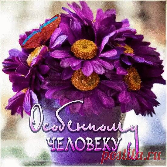(1) Pinterest