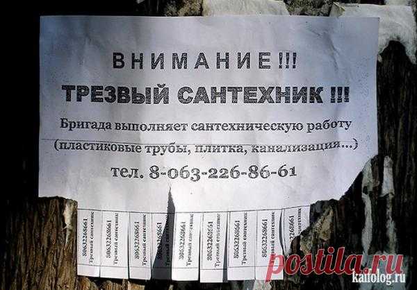 Трезвый!