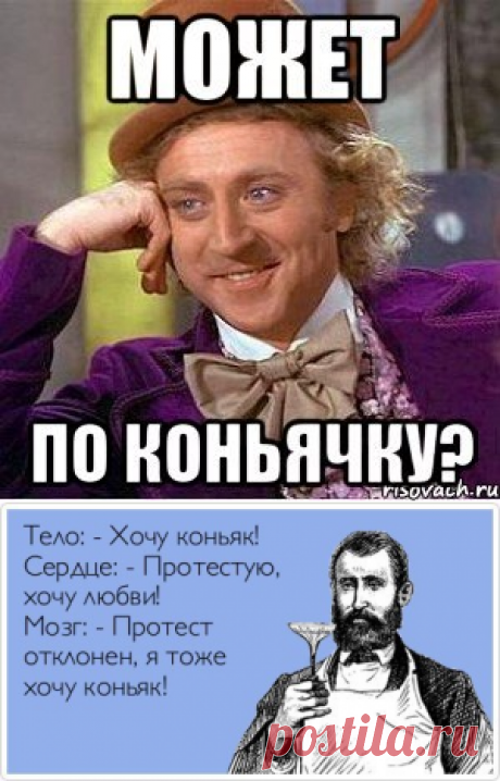 ОТКРОВЕНИЯ ДУХА КОНЬЯКА. ~ Блоги ~ Beesona.Ru