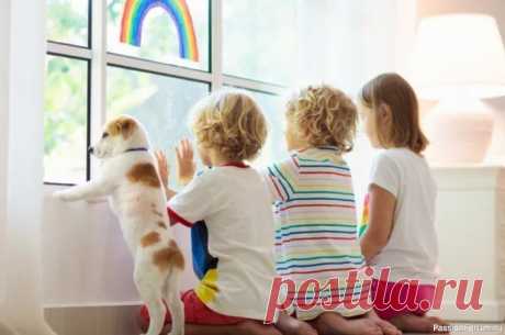 Кинолог сравнил собак с детьми: они воспринимают мир одинаково Ученые исследуют эмоциональную сферу собак уже давно, и сегодня известно, что питомцы обладают собственными чувствами, хотя их диапазон гораздо скромнее, чем у людей. Об этом рассказал президент Российской кинологической федерации Владимир Голубев, передает РИА Новости.Голубев подчеркнул,...