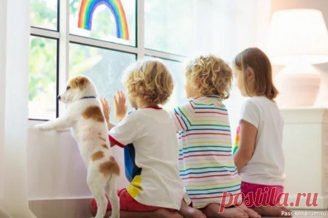 Кинолог сравнил собак с детьми: они воспринимают мир одинаково Ученые исследуют эмоциональную сферу собак уже давно, и сегодня известно, что питомцы обладают собственными чувствами, хотя их диапазон гораздо скромнее, чем у людей. Об этом рассказал президент Российской кинологической федерации Владимир Голубев, передает РИА Новости.Голубев подчеркнул,...