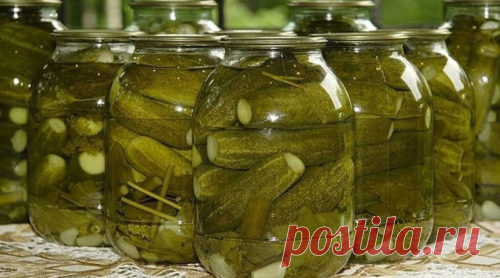 Как я консервирую огурцы, которые никогда не взрываются!