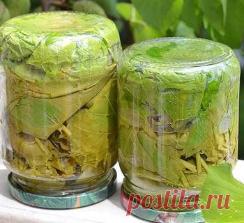 Рецепт маринованных виноградных листьев для долмы / Меню недели