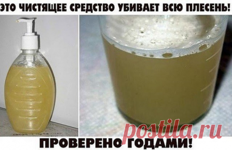 ЭТО ЧИСТЯЩЕЕ СРЕДСТВО УБИВАЕТ ВСЮ ПЛЕСЕНЬ! ПРОВЕРЕНО ГОДАМИ!    Всем советую! У нас старый дом и раньше постоянно заводилась плесень. Покупали дорогую химию, убирало, но ненадолго. По совету соседки сд...