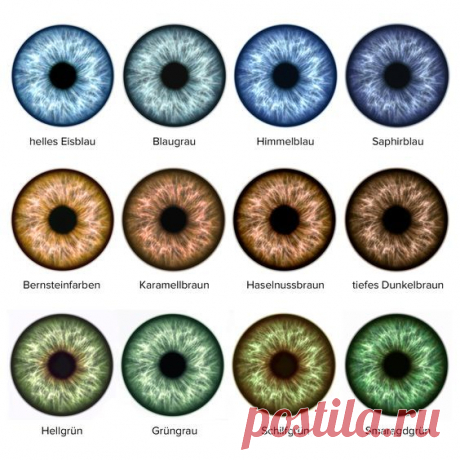 (13) Pinterest