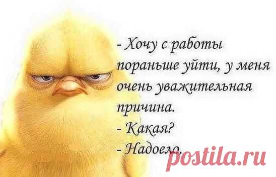 (22) Одноклассники