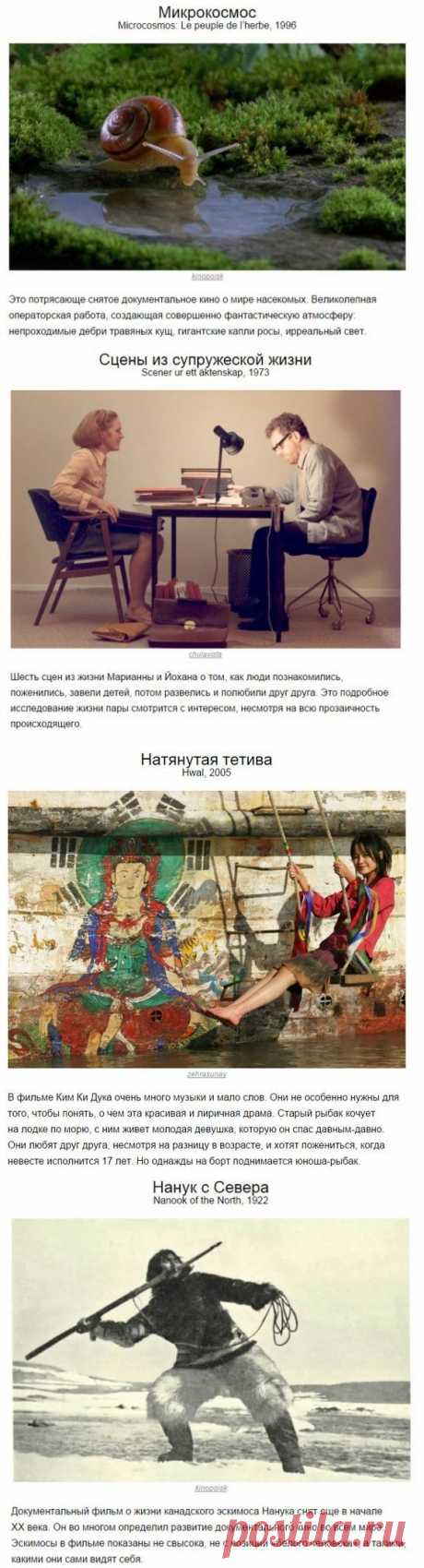 10 шикарных фильмов, о которых вы, скорее всего, никогда не слышали | Страна Полезных Советов