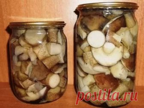 (5) Одноклассники