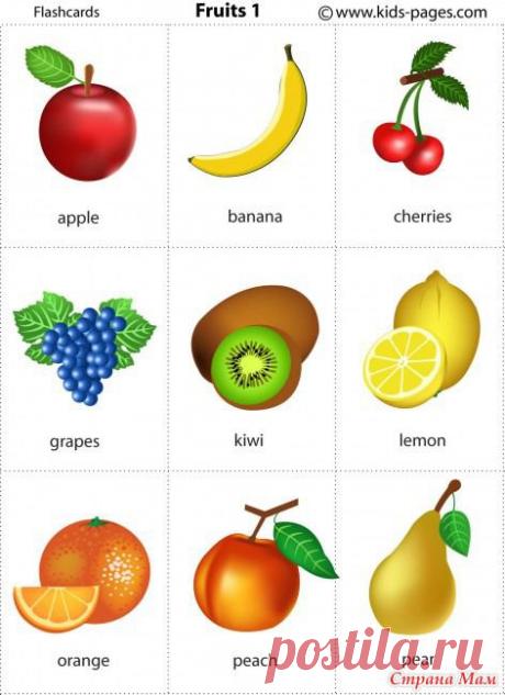 Тематические картинки - Развиваем ребенка дома (от 0 до 7 лет) - Страна Мам