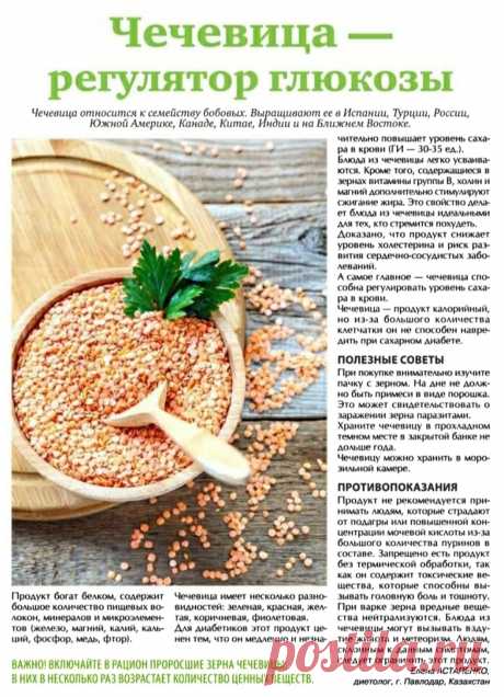Чечевица полезные свойства