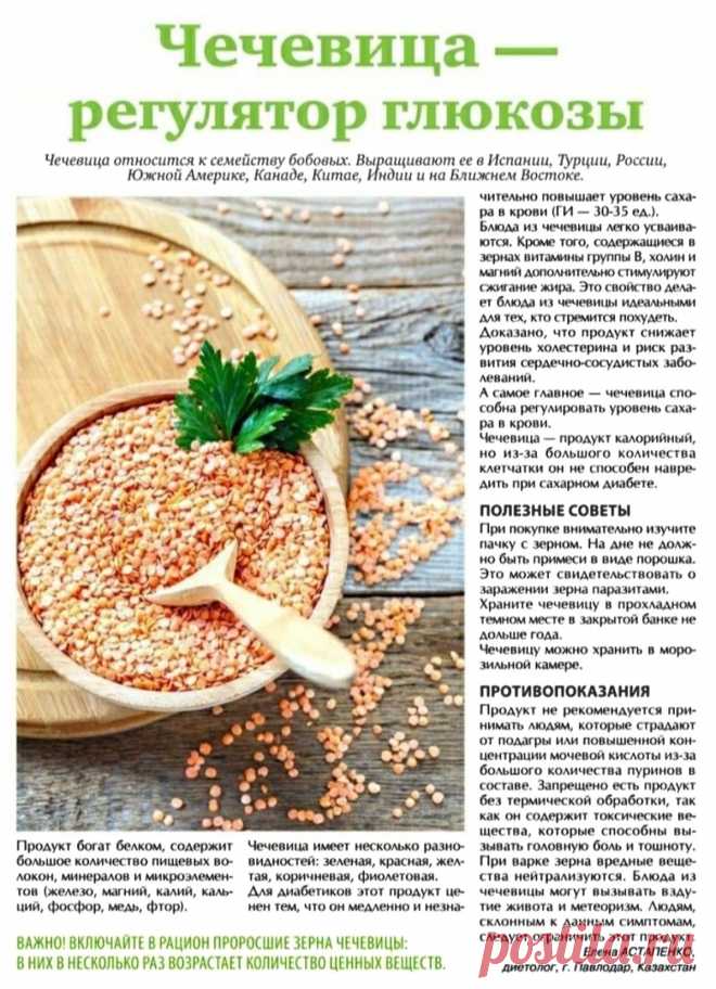 Чечевица полезные свойства