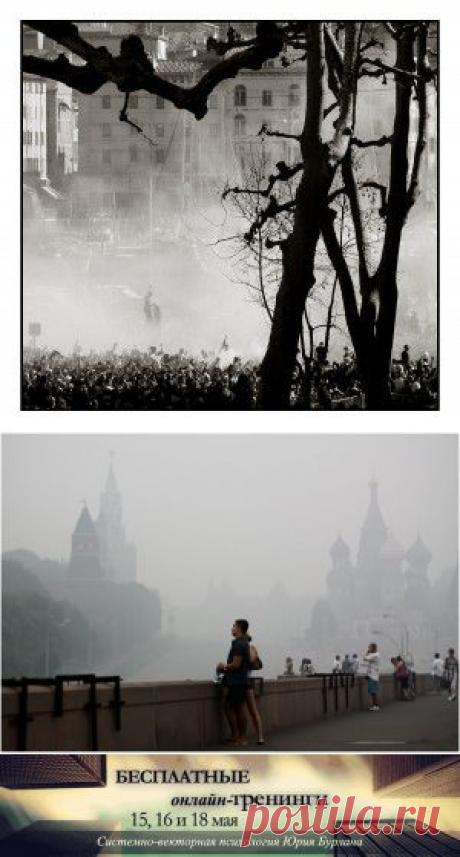 system_psiholog: ДЕНЬ БОРЬБЫ С КОРРУПЦИЕЙ. ТЕРРИТОРИЯ СТРАХА