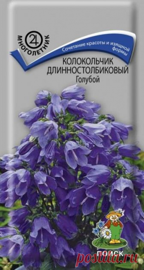 Колокольчик длинностолбиковый Голубой. 0,03 г - Цветы Многолетние - Цветы - Семена - Интернет-магазин семян почтой
Просматривайте этот и другие пины на доске Сеем в сад пользователя Светлана.
Теги
Колокольчик длинностолбиковый Синий.
0,03 г - цветы многолетние - цветы - семена - интернет магазин семян
Просматривайте этот и другие пины на доске сеем в сад семена пользователя Светлана.
Что говорят другие
Колокольчик короткостолбиковый.
0,3 г. - цветы многолетние, цветы - семена
Просматривайте эт…