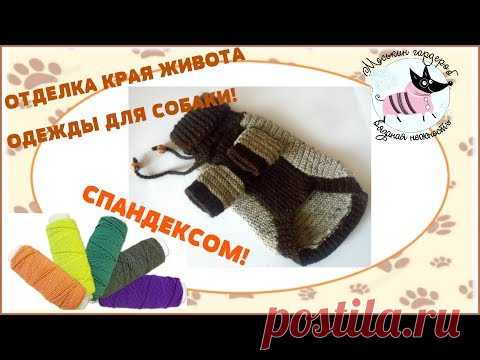 Отделка края живота одежды для собаки нитью спандекс.