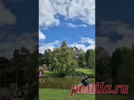 Выходной день в БОТАНИЧЕСКОМ САДУ Гамбург #travel #hamburg #europe #nature #botanicalgarden