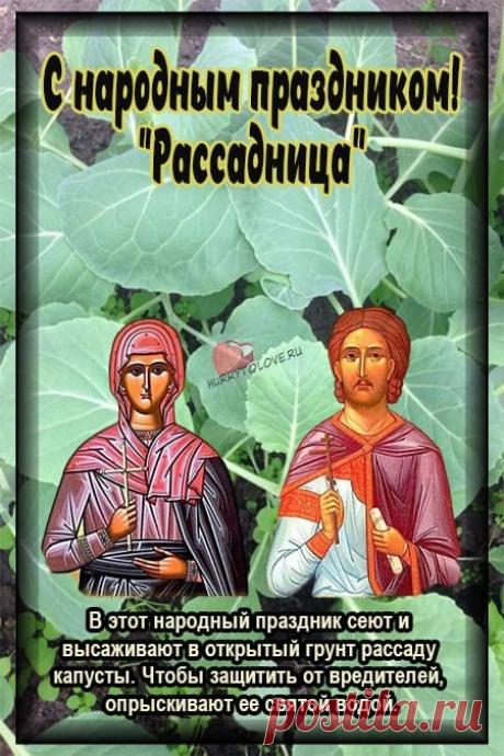 На Мавру — высаживай рассаду, пусть будет урожай в награду! Чтоб капуста была — как бочонок, и молочка — от коровушек звонких! Открытки на Мавра Рассадница!