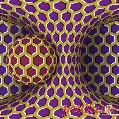 52598948_2264209430458878_4322988839460143104_n.jpg (794×794)