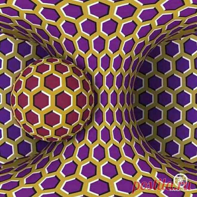 52598948_2264209430458878_4322988839460143104_n.jpg (794×794)