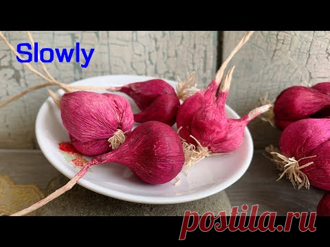 ABC TV | How To Make Bulb Of Purple Onion From Crepe Paper (Slowly) - Craft Tutorial