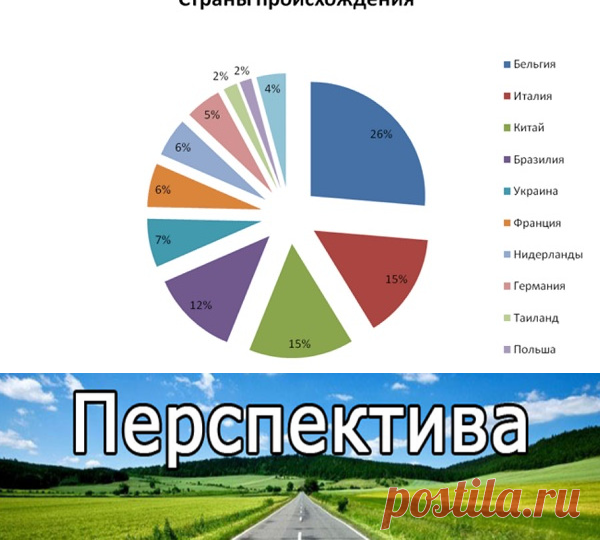 Таможенная база данных и статистика ВЭД | Pravdoiskatel