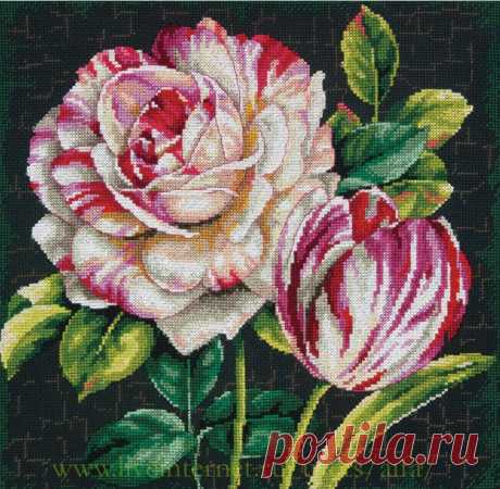 цитата valia_by : ВЫШИВКА КРЕСТОМ, СХЕМЫ. ТЮЛЬПАН И РОЗА ПЯТНИСТЫЕ DIM (21:26 30-11-2015) [4426181/378232681] - nimfa58@mail.ru - Почта Mail.Ru