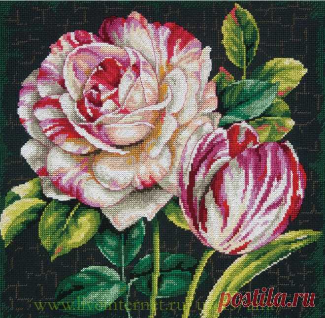 цитата valia_by : ВЫШИВКА КРЕСТОМ, СХЕМЫ. ТЮЛЬПАН И РОЗА ПЯТНИСТЫЕ DIM (21:26 30-11-2015) [4426181/378232681] - nimfa58@mail.ru - Почта Mail.Ru