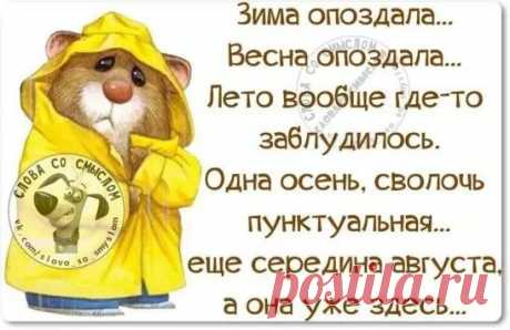 Леди хозяйка | Рецепты и советы