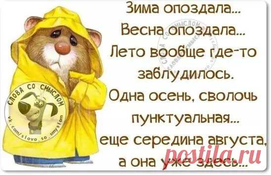 Леди хозяйка | Рецепты и советы