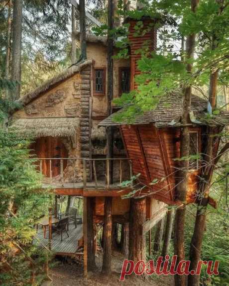 Google+