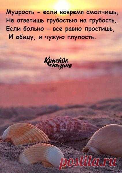 Без комментария