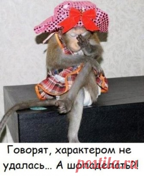 Анекдоты ✓ Юмор ✓ Позитив ✓ Приколы